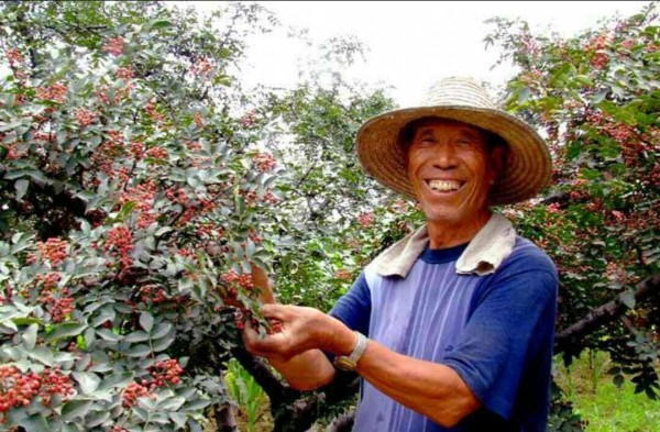 �ֵ�ɽ�l(xi��ng)���t�r(sh��)