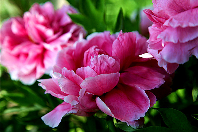 ף���������ĸ�H