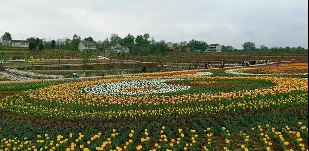 ٛ(z��ng)��õ�壬��������