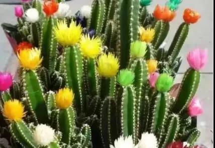 �G��֮�ԏ�(qi��ng)��