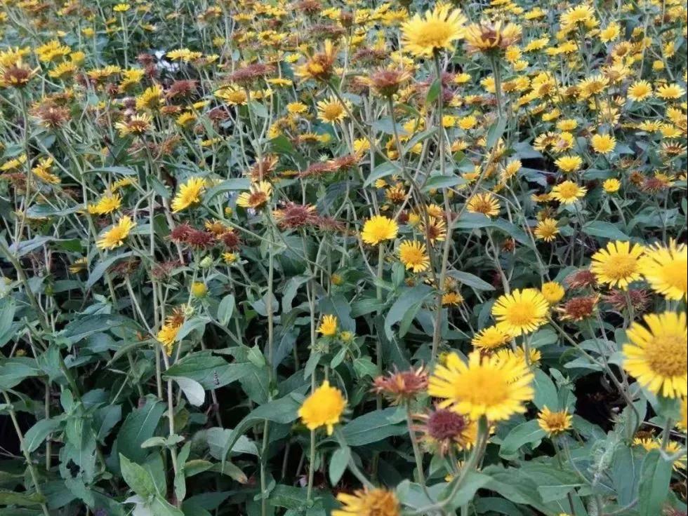 �ﵽ�@�^(q��)