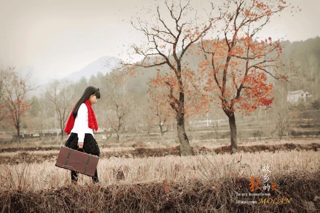 ���l(xi��ng)����