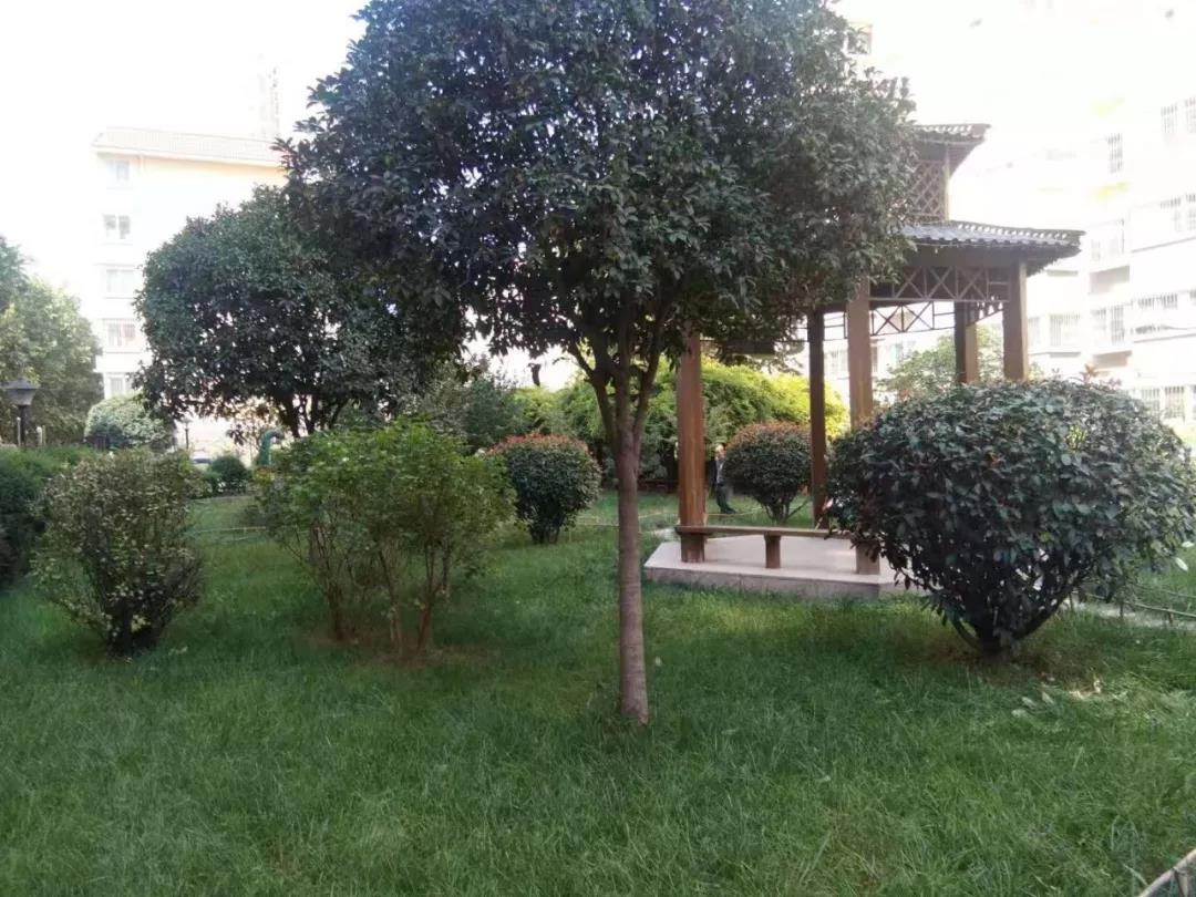 �@�^(q��)����⡡̎̎����