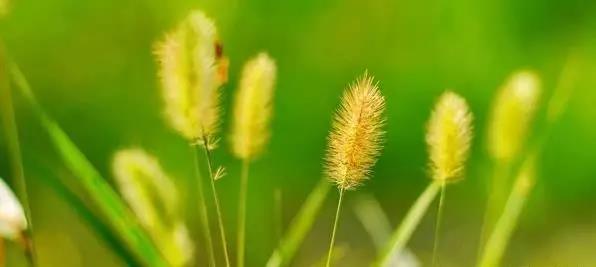 �� �L(f��ng)