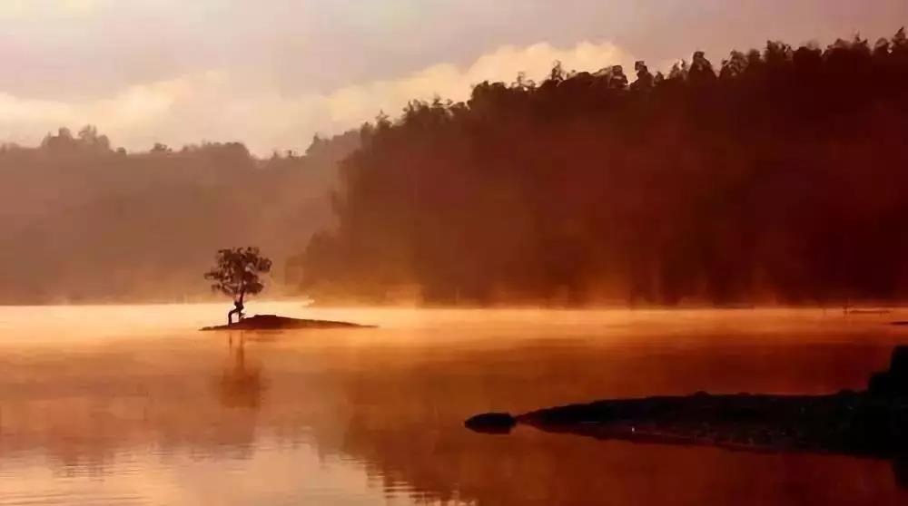 �� �L(f��ng)