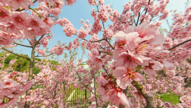 ��䓳��������ゃ