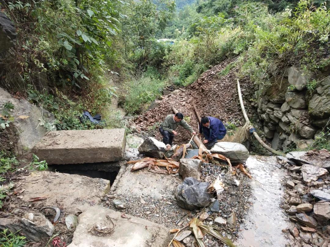 �����������C��������