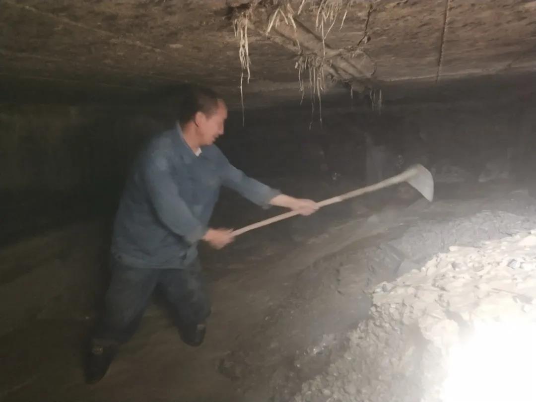 �����������C��������