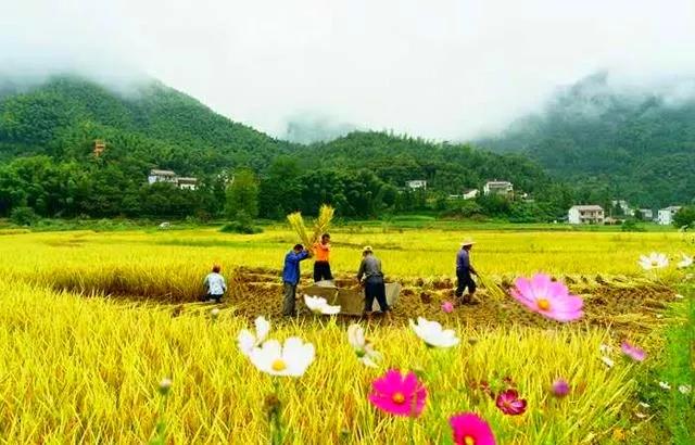 �����̫�(y��ng)